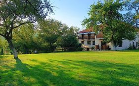 Pensiunea Agroturistica Ica
