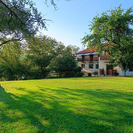 Pensiunea Agroturistica Ica Valea Drăganului Exterior photo