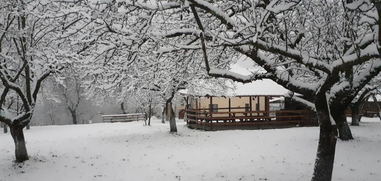 Pensiunea Agroturistica Ica Valea Drăganului Exterior photo