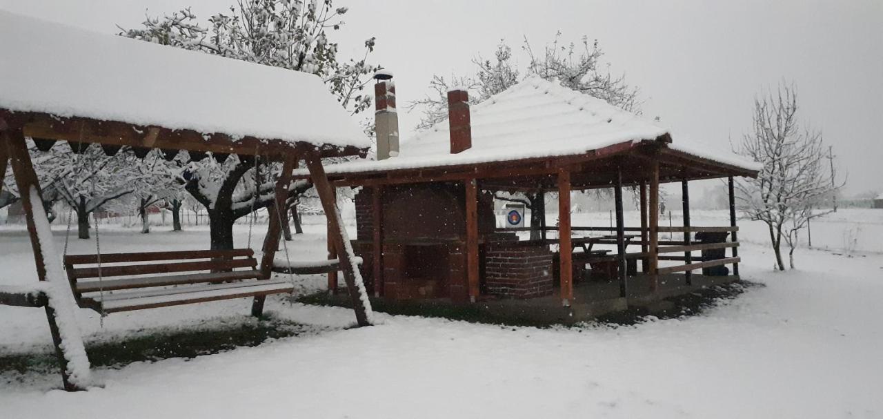 Pensiunea Agroturistica Ica Valea Drăganului Exterior photo