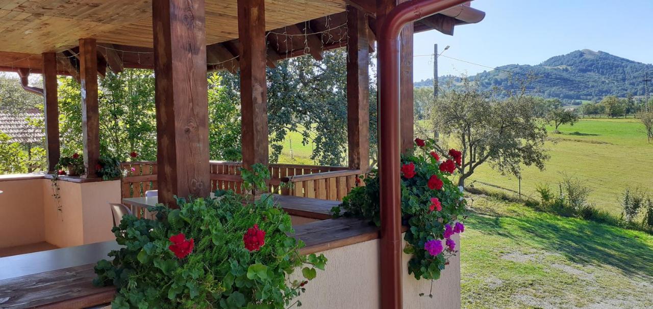Pensiunea Agroturistica Ica Valea Drăganului Exterior photo