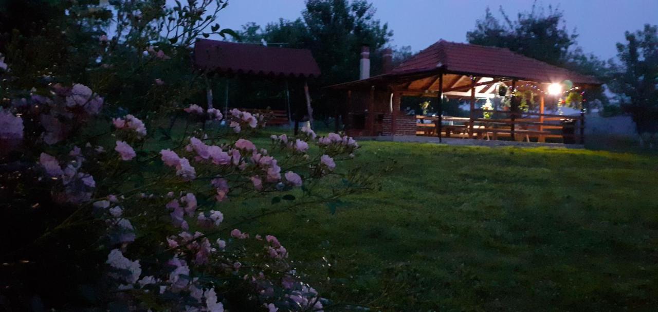 Pensiunea Agroturistica Ica Valea Drăganului Exterior photo