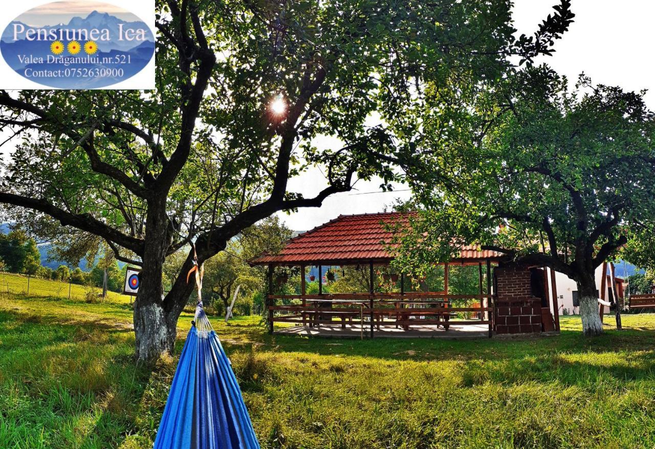 Pensiunea Agroturistica Ica Valea Drăganului Exterior photo