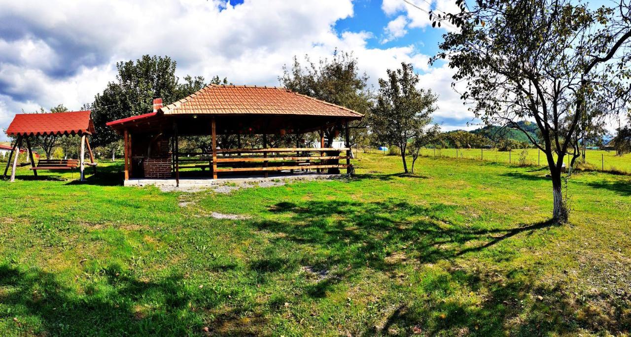 Pensiunea Agroturistica Ica Valea Drăganului Exterior photo