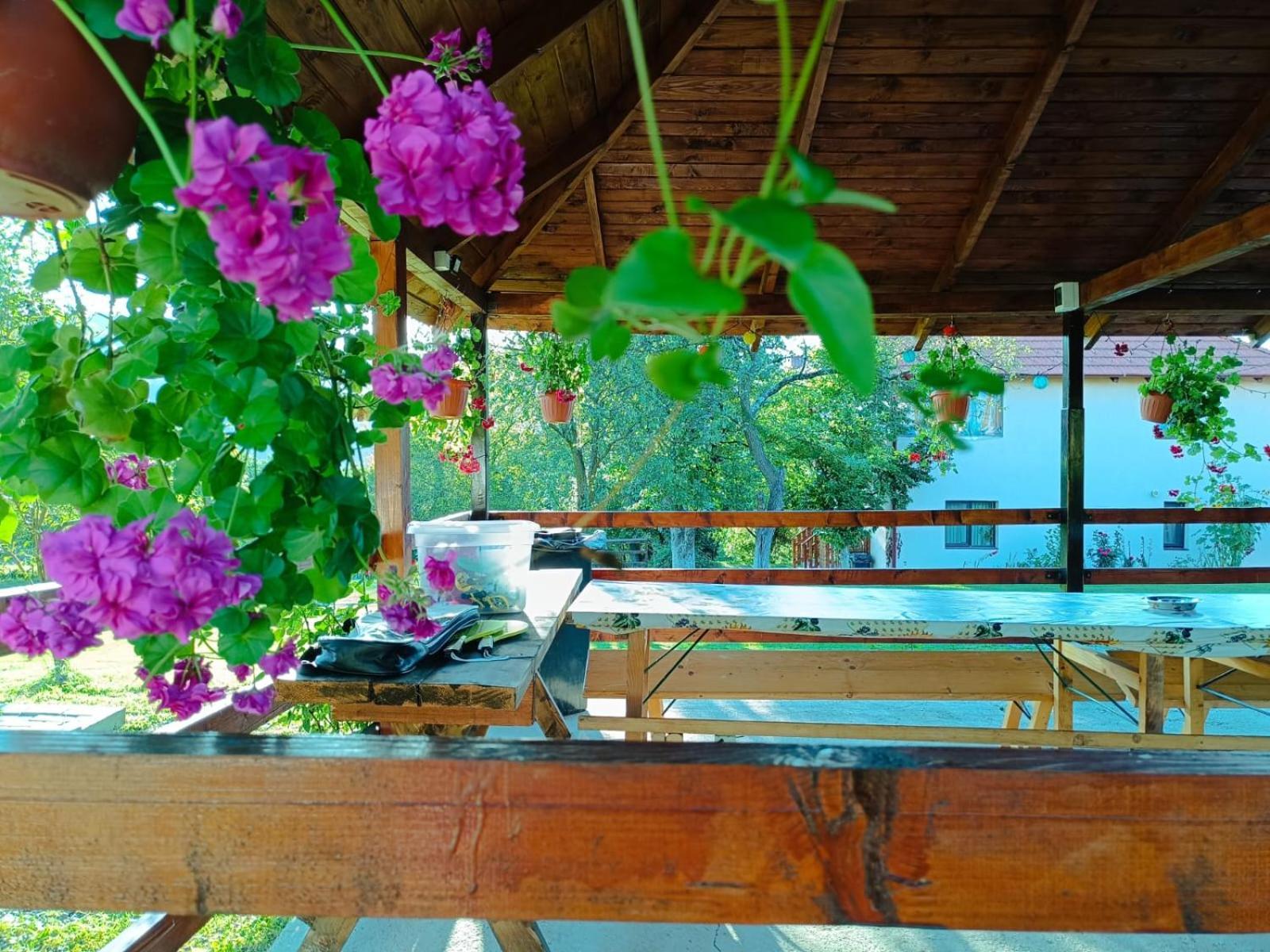 Pensiunea Agroturistica Ica Valea Drăganului Exterior photo