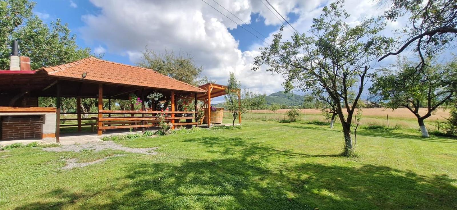 Pensiunea Agroturistica Ica Valea Drăganului Exterior photo