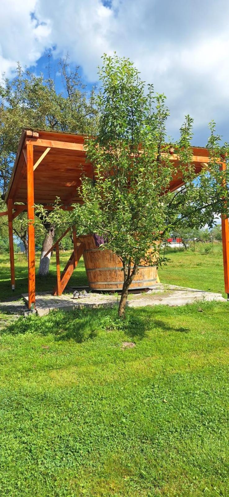 Pensiunea Agroturistica Ica Valea Drăganului Exterior photo