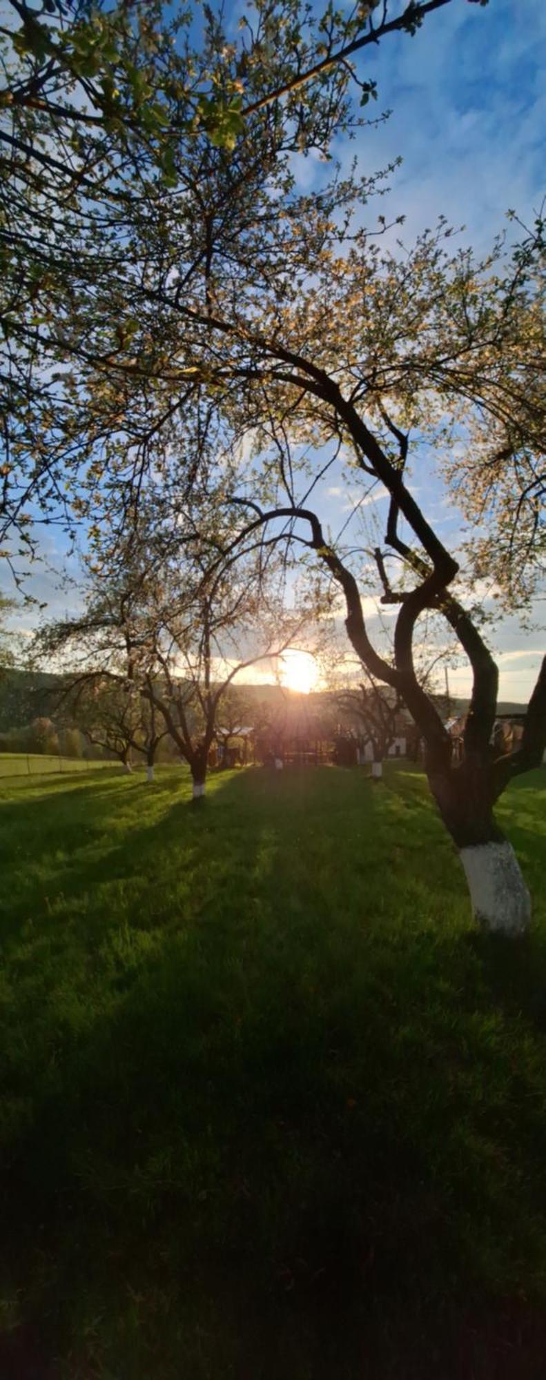 Pensiunea Agroturistica Ica Valea Drăganului Exterior photo